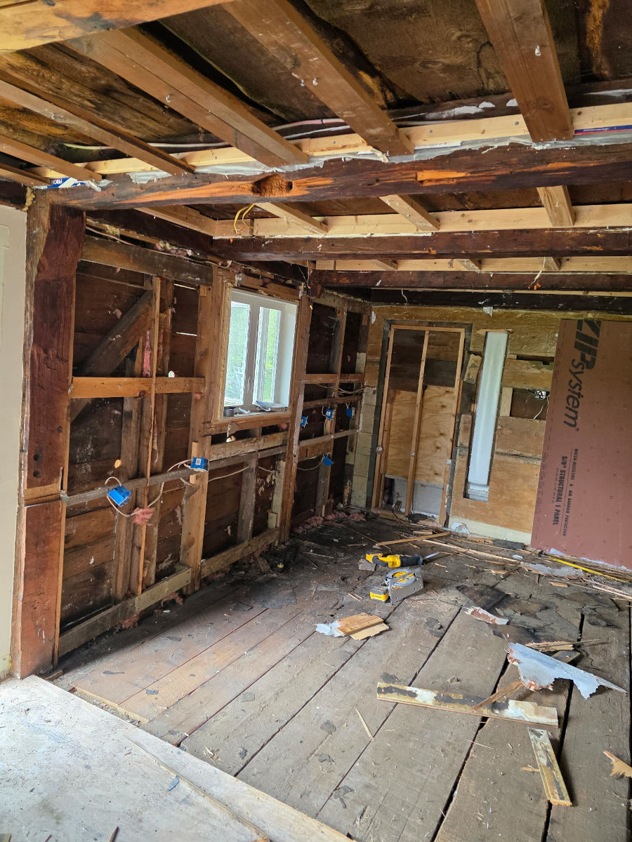 Starting out with Demo on this Historic Kitchen